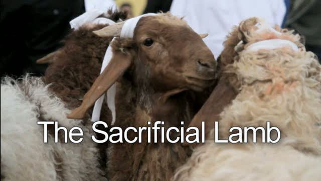 the-sacrificial-lamb-sourceflix-living-hope